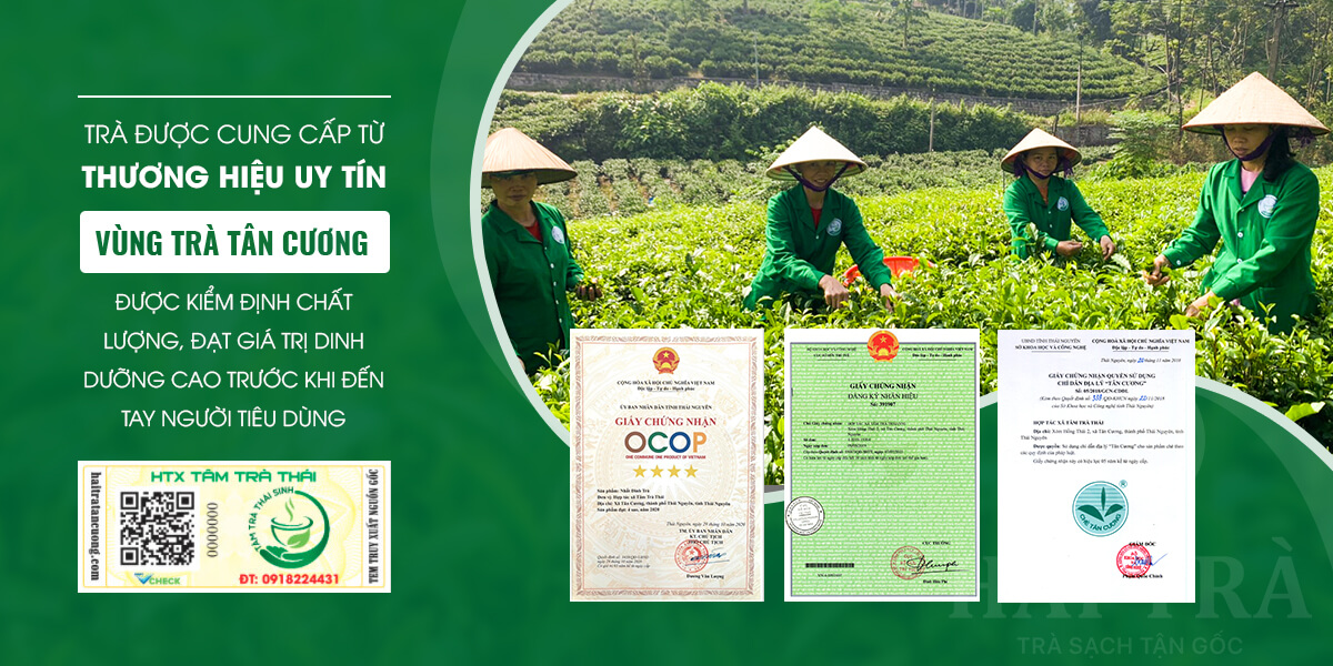 Hai tra tan cuong banner 03