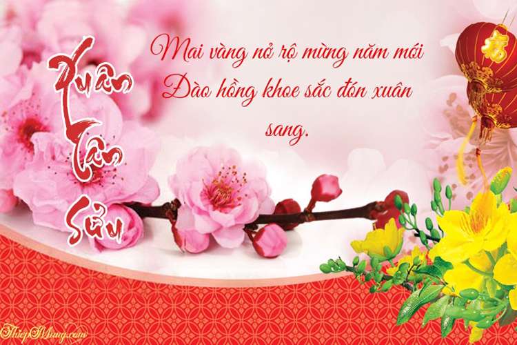 Loi chuc tet 2022 cho ho hang ban be y